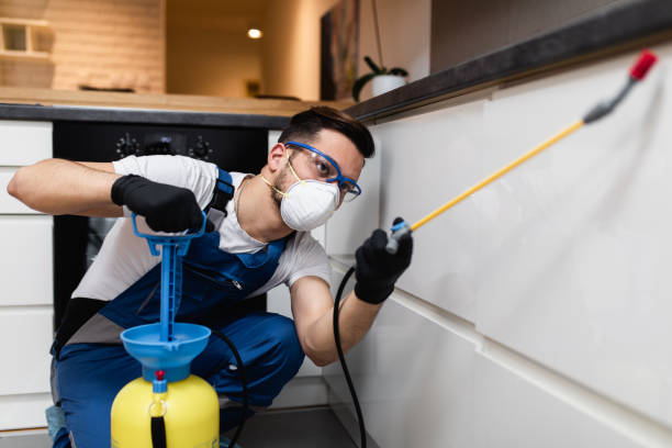 Best Pest Removal Services  in Hartwell, GA