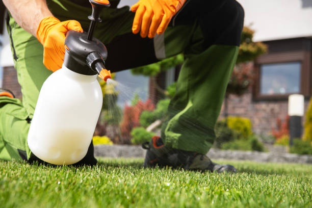 Best Wildlife Control Services  in Hartwell, GA