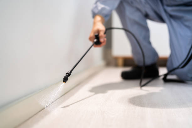 Best Pest Prevention Services  in Hartwell, GA