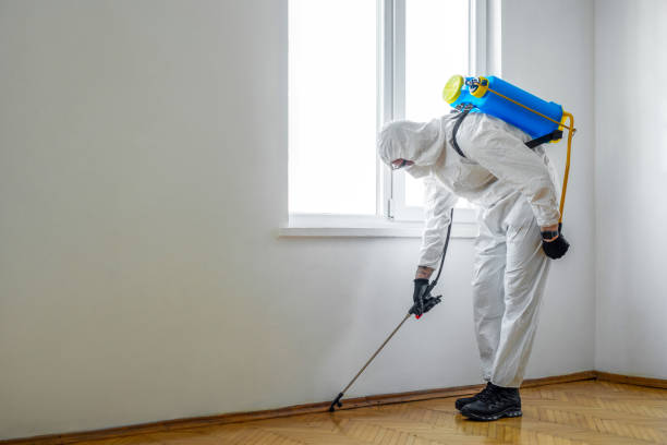 Best Flea Control Services  in Hartwell, GA