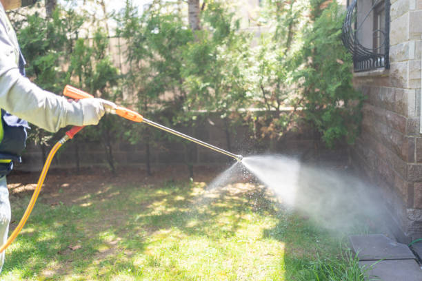Best Pest Control Near Me  in Hartwell, GA