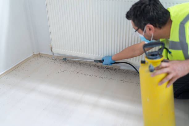 Reliable Hartwell, GA Pest Control Solutions