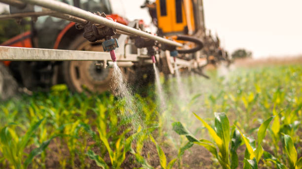 Best Mosquito Control Services  in Hartwell, GA