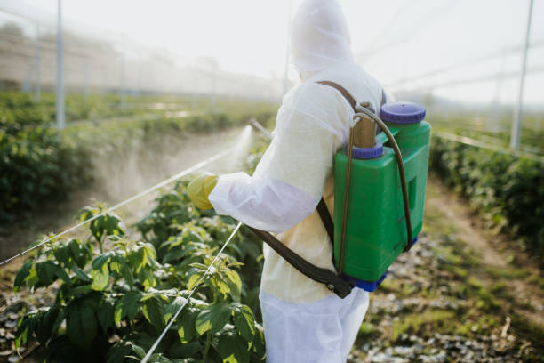 Trusted Hartwell, GA Pest Control Experts